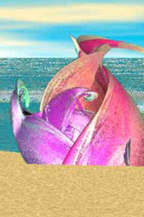 The Heart on Vacation