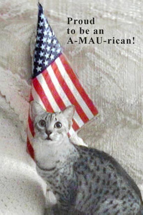 Proud to be an A-MAU-rican (Again)