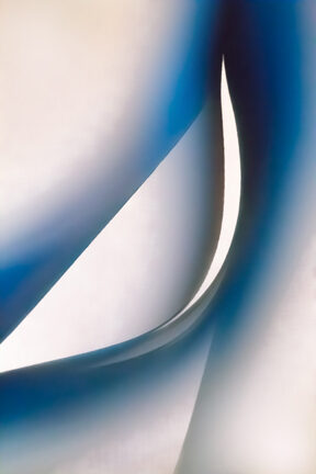 A New Year’s Wish: 2021