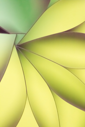 News: Five of My Photos Are at UTMB-Galveston