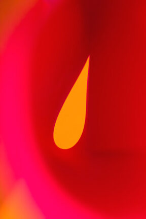 Letting in the Light