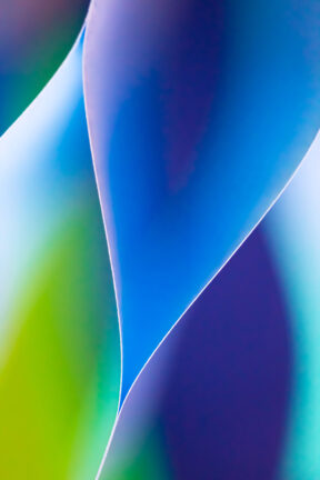 News: Three of My Photos Are To Be Installed at a Methodist Hospital Clinic