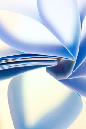 Four of My Photos Are Chosen by the Harris Health System