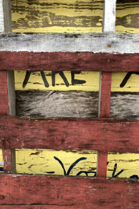 A Rejected Valentine?