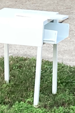 Little Lamb Who Made Thee?