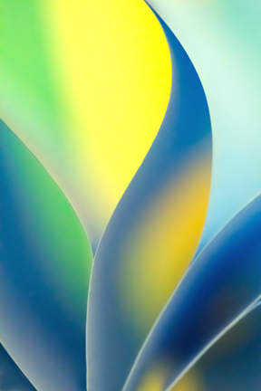 Five of my Photos Have Been Selected for Houston Methodist Hospital’s Centennial Tower